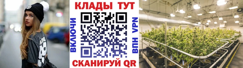 Купить наркотики сайты Медногорск КОКАИН  Меф  ОМГ ОМГ   МАРИХУАНА  ГЕРОИН 