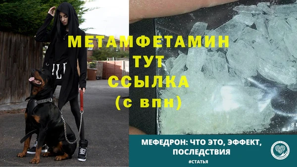 хмурый Магас
