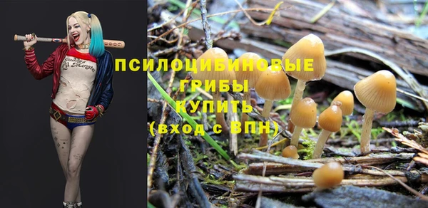 ECSTASY Иннополис
