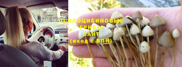 спайс Майский