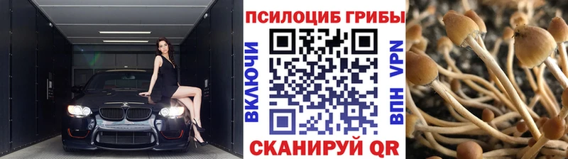 наркошоп  Медногорск  Галлюциногенные грибы ЛСД 