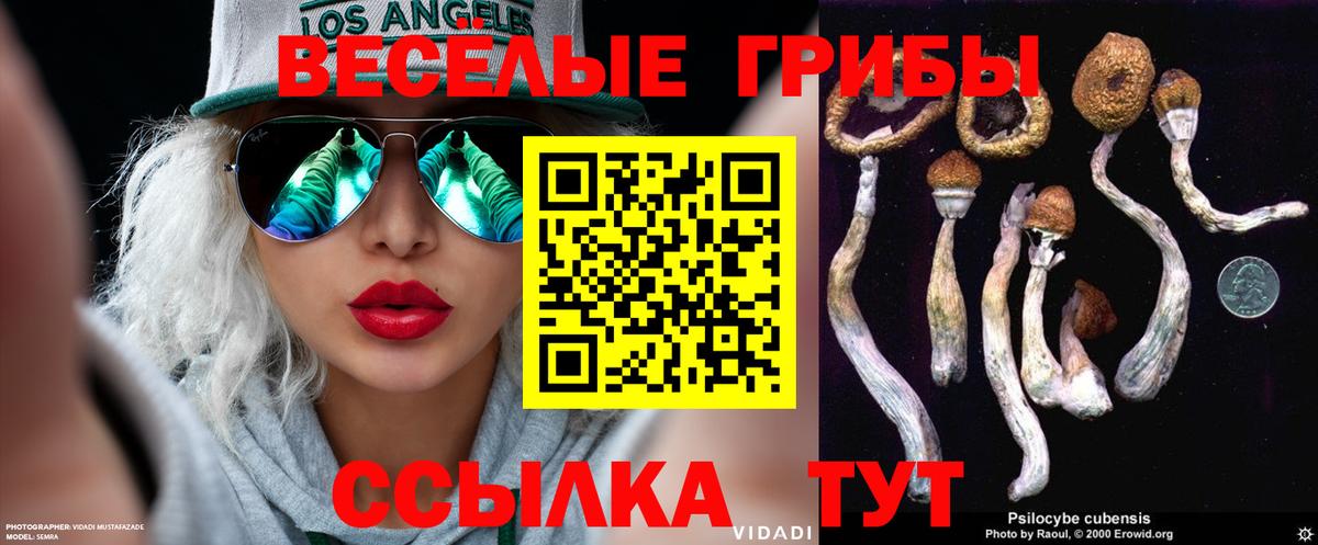 Псилоцибиновые грибы Psilocybe Медногорск