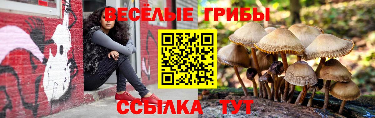 Медногорск  Псилоцибиновые грибы Magic Shrooms  Вход с VPN  Галлюциногенные грибы ЛСД 